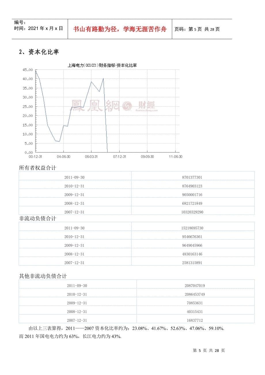 某电力公司财务分析_第5页