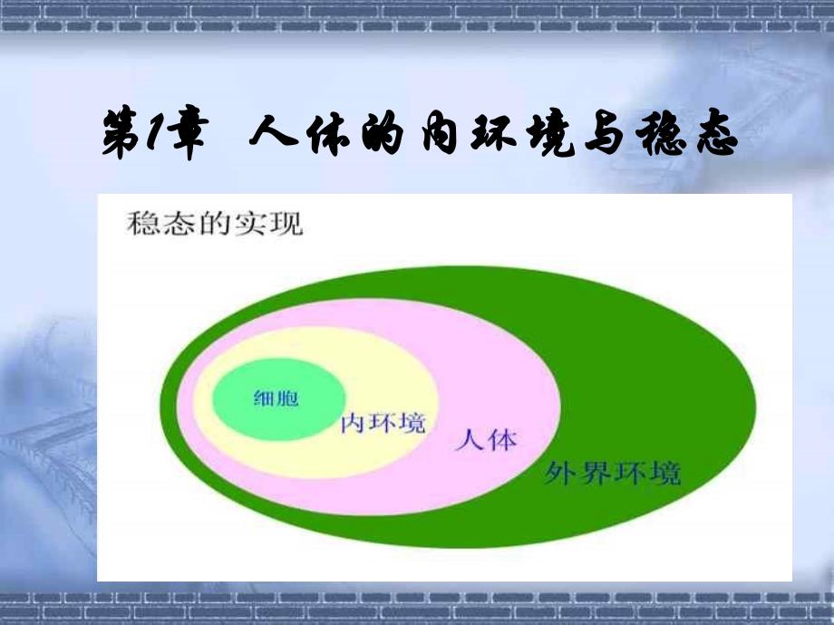 11细胞生活的环境课件（人教版必修III）_第1页