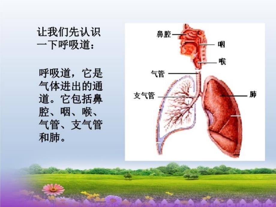 冬季常见传染病预防健康教育课件_第4页