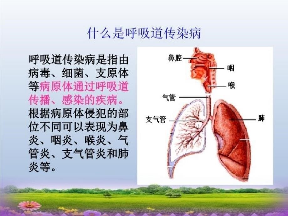 冬季常见传染病预防健康教育课件_第5页