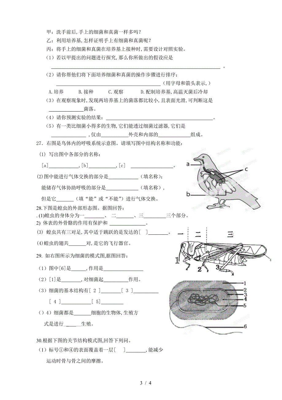 最新人教版八年级上册生物期末考试试卷.doc_第3页