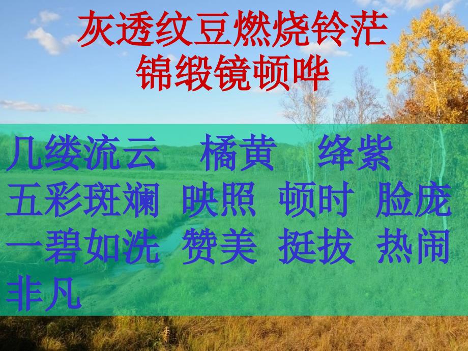 北大荒的天好_第4页