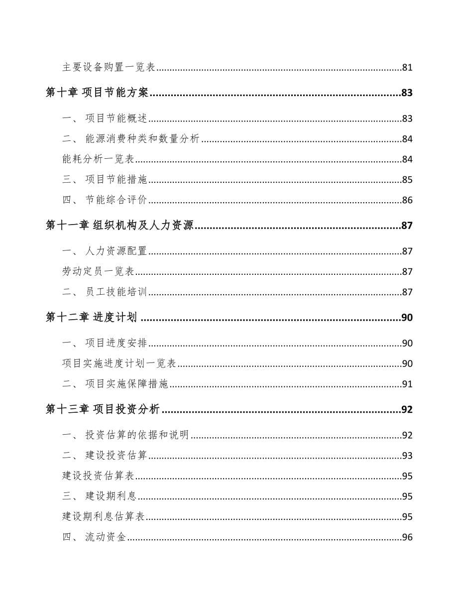 昆明锂铁电池项目可行性研究报告_第5页