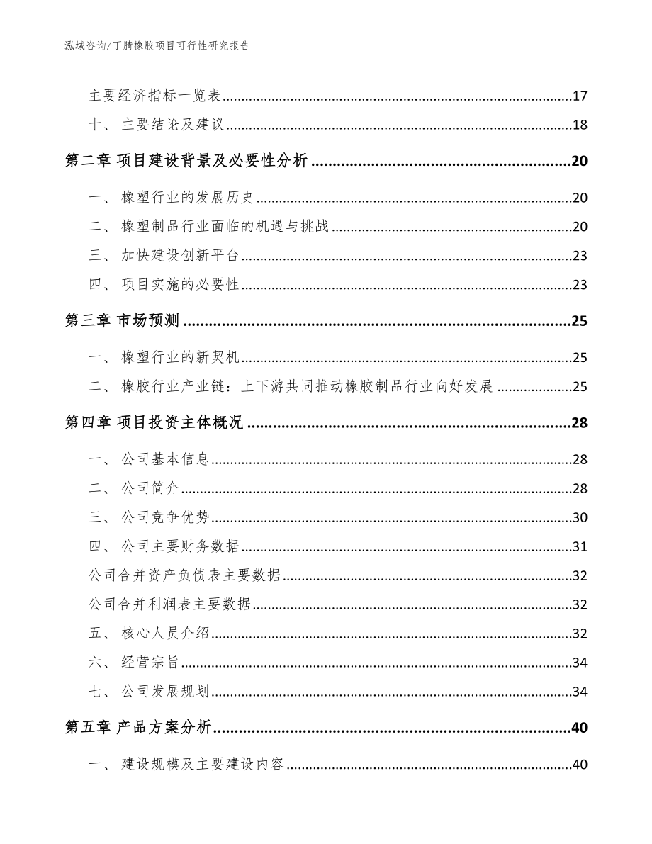 丁腈橡胶项目可行性研究报告模板范文_第4页