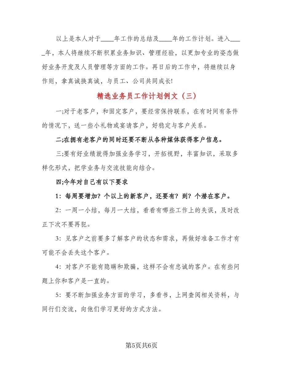 精选业务员工作计划例文（三篇）.doc_第5页