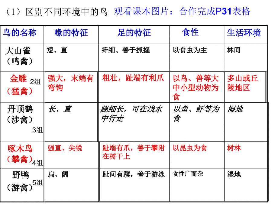 初中二年级生物上册第五单元　第一章动物的主要类群第六节鸟第一课时课件_第4页