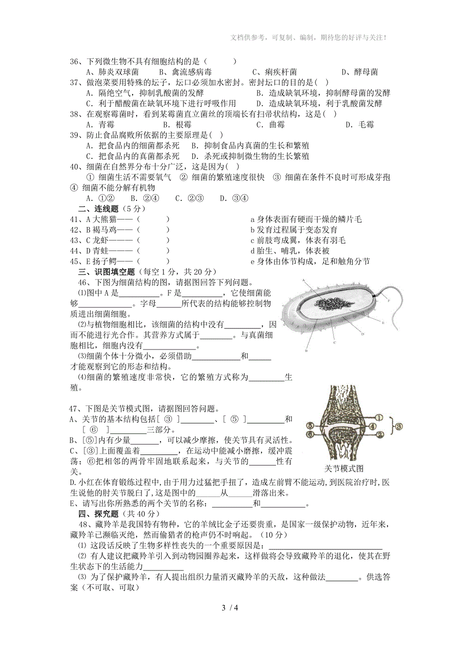 八年级生物上学期期中测试卷人教新课标版_第3页