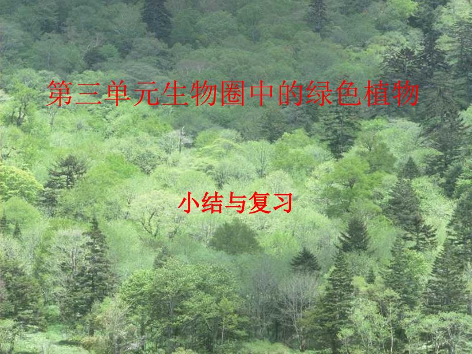 第三单元生物圈中的绿色植物小结与复习七年级_第1页