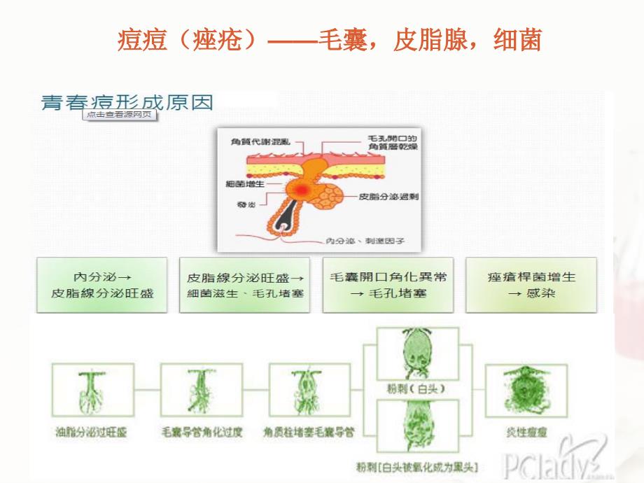 悦目佳人护肤课堂同类型痘痘护理方式_第3页