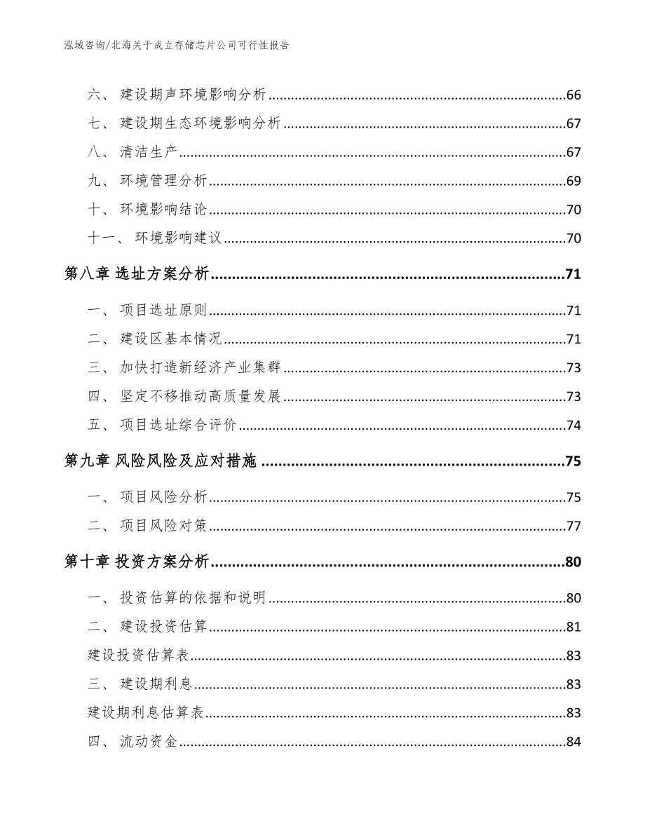 北海关于成立存储芯片公司可行性报告_第4页