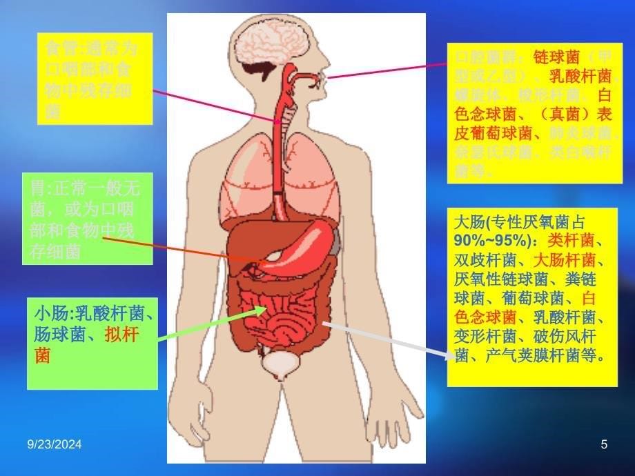 消化系统细菌感染_第5页