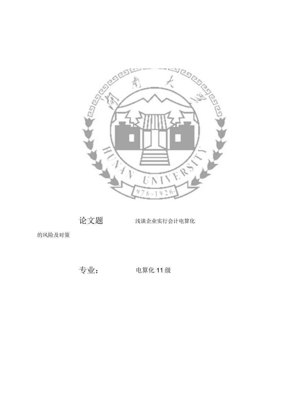 企业实行会计电算化的风险及对策_第3页