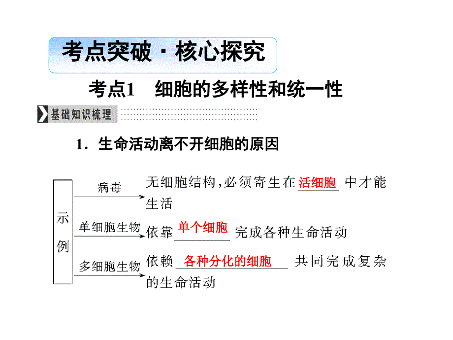 导学教程高考生物一轮复习 第1单元 走进细胞、细胞的分子组成 第1讲 走近细胞课件_第4页