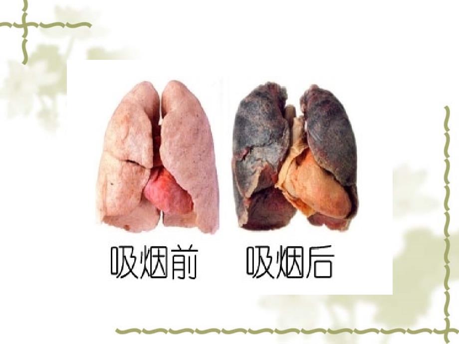 吸烟的危害及戒烟ppt课件_第4页