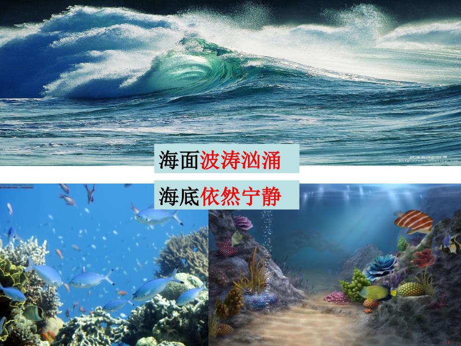 海底世界优秀ppt课件_第4页