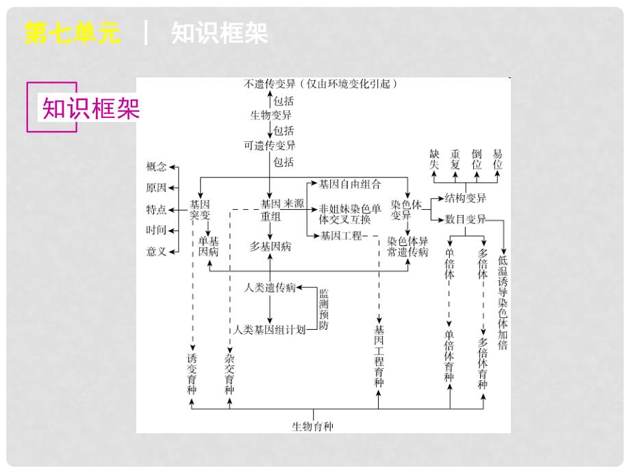 高考生物复习方案 第7单元第21讲基因突变和基因重组复习方案课件 人教版_第2页