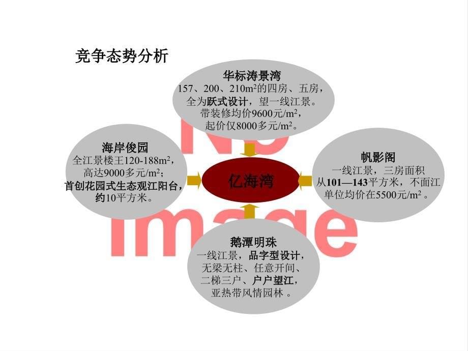 某房产整体推广策略思路_第5页