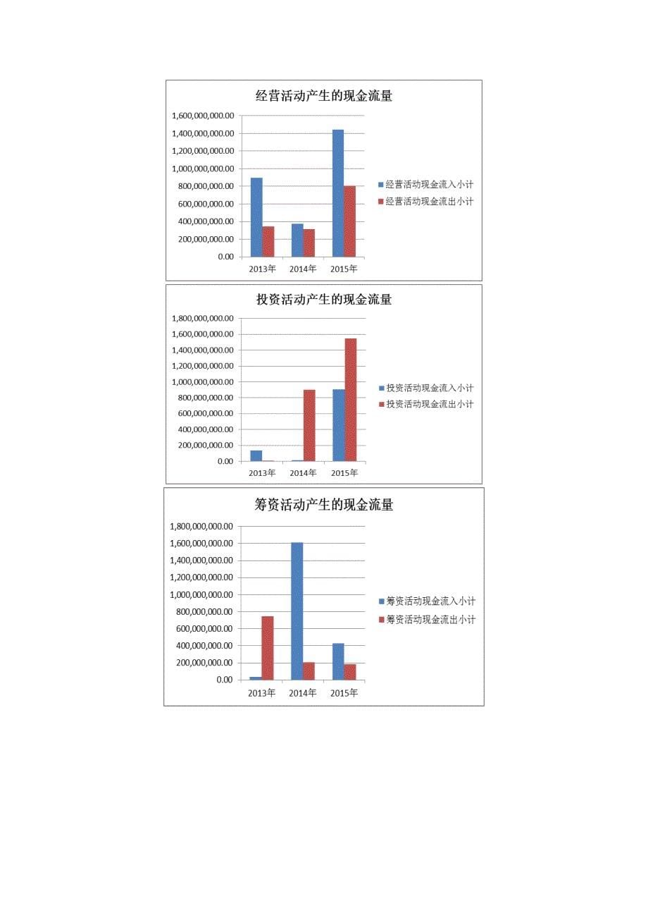 华丽家族财务分析报告_第5页