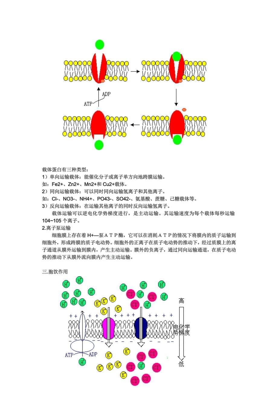 第二章植物的矿质营养_第5页