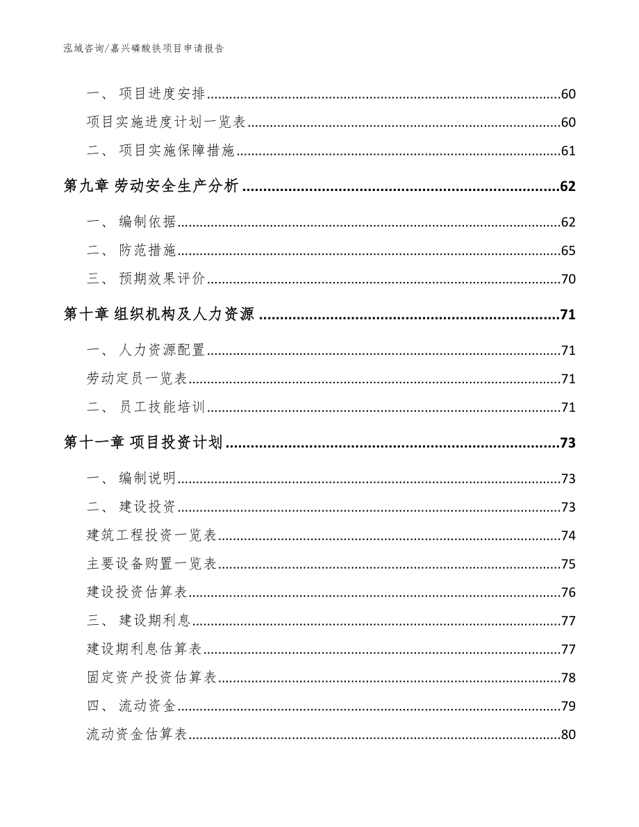 嘉兴磷酸铁项目申请报告_第4页