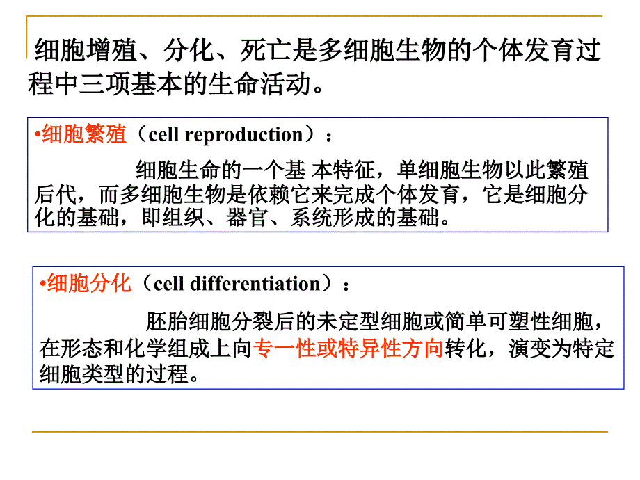 第五讲 组织1_第3页