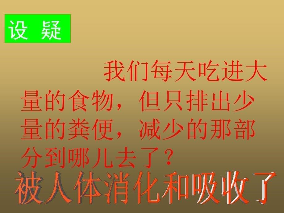 福州格致中学鼓山校区廖冰_第5页