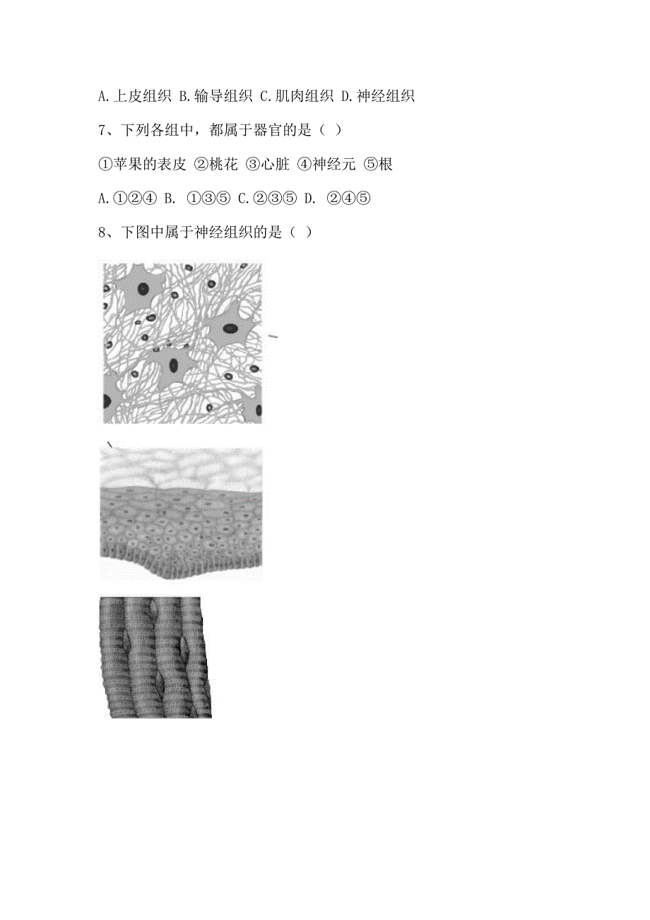 第二单元第三_第3页