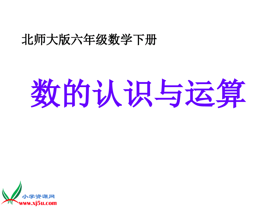 《数的认识与运算》课件_第1页