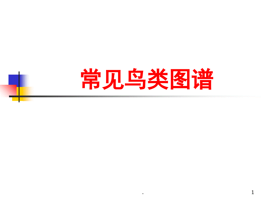 常见鸟类图谱(课堂PPT)课件_第1页