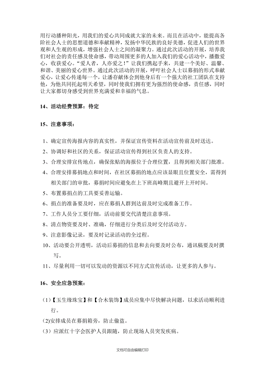 脑瘤募捐活动策划_第4页