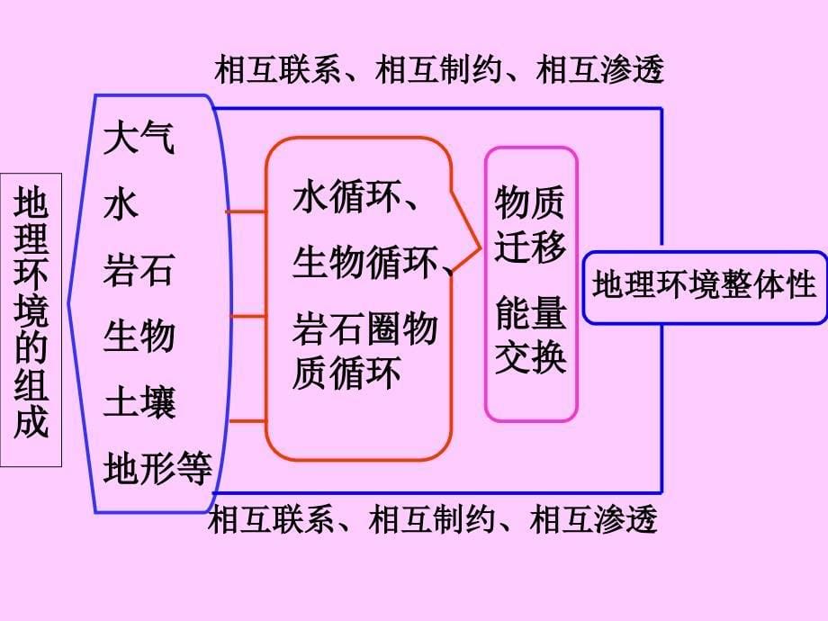 自然地理环境的整体性土壤好_第5页