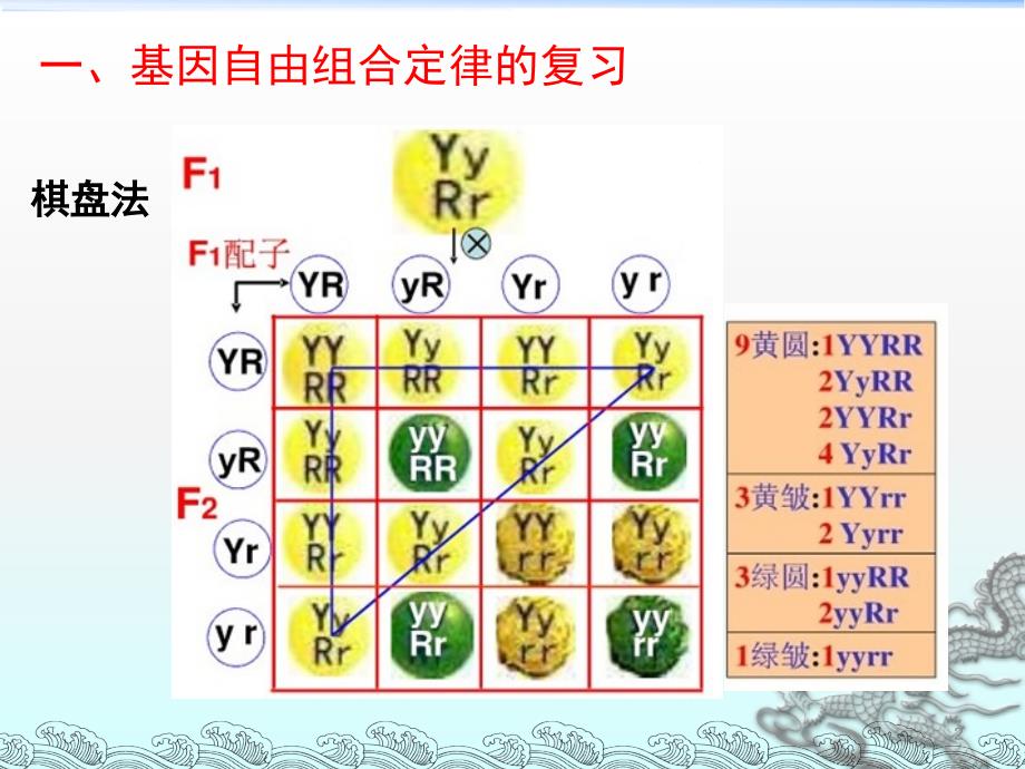 基因自由组合定律的变式应用ppt课件_第2页