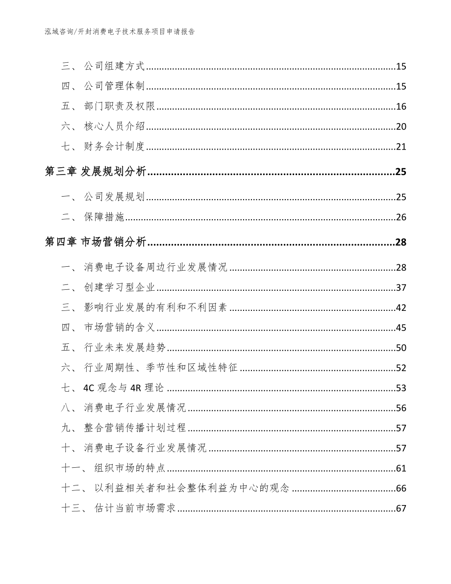 开封消费电子技术服务项目申请报告_第4页