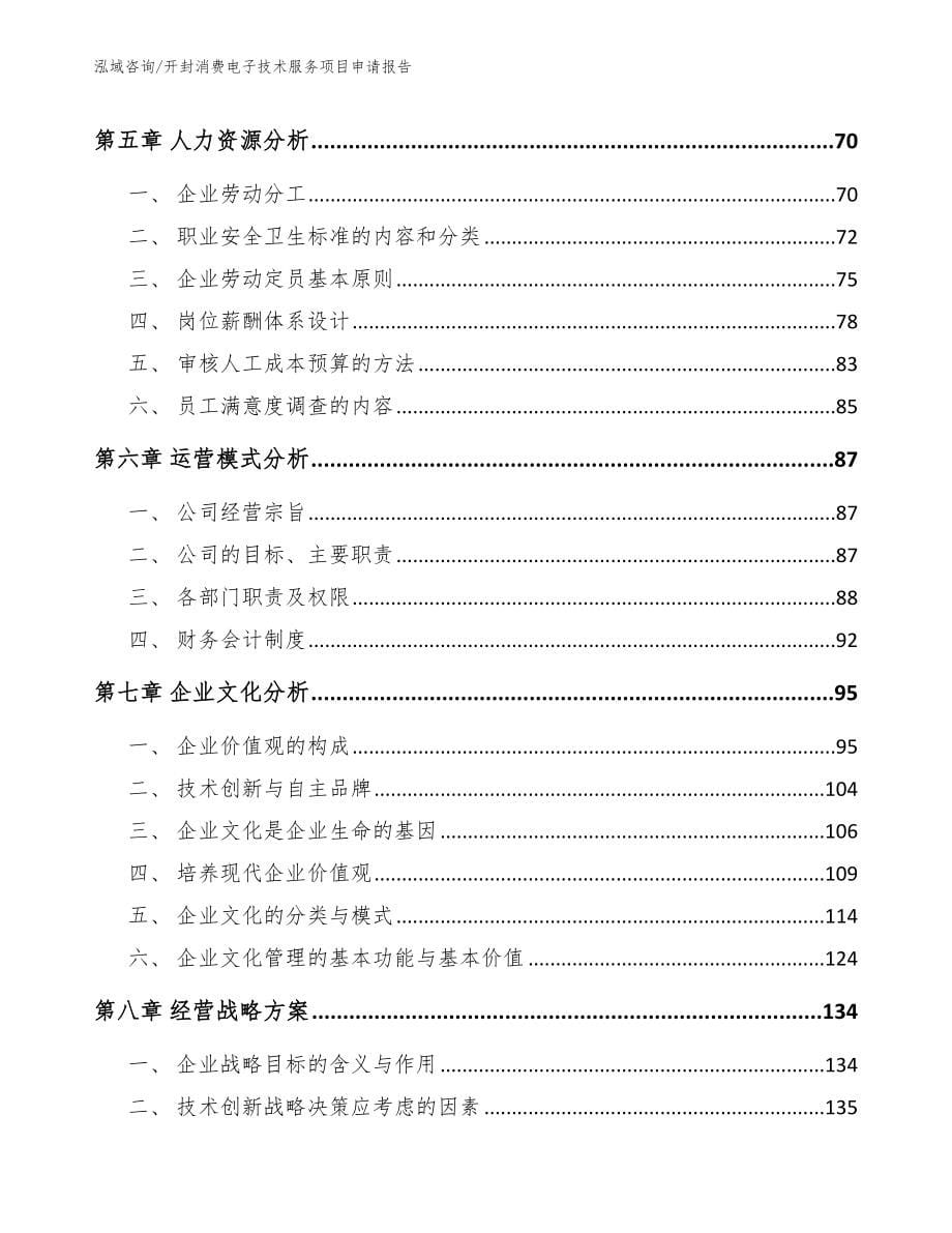 开封消费电子技术服务项目申请报告_第5页