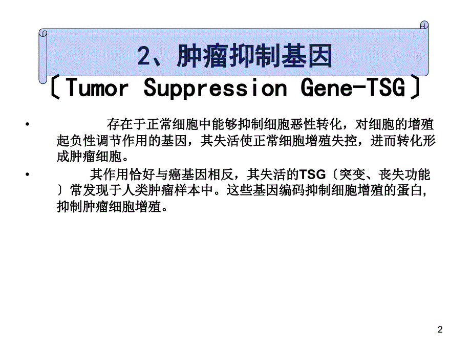 基础医学第章肿瘤遗传学二_第2页