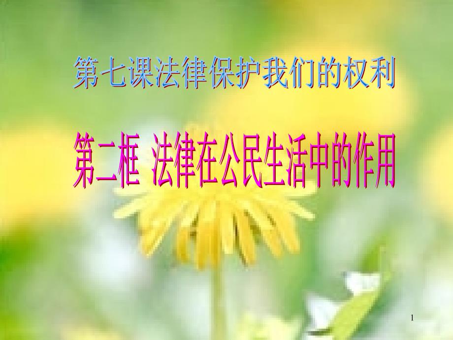 法律在公民生活中的作用.ppt_第1页