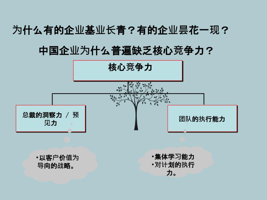 总裁班opp学理念员辅导大纲_第4页