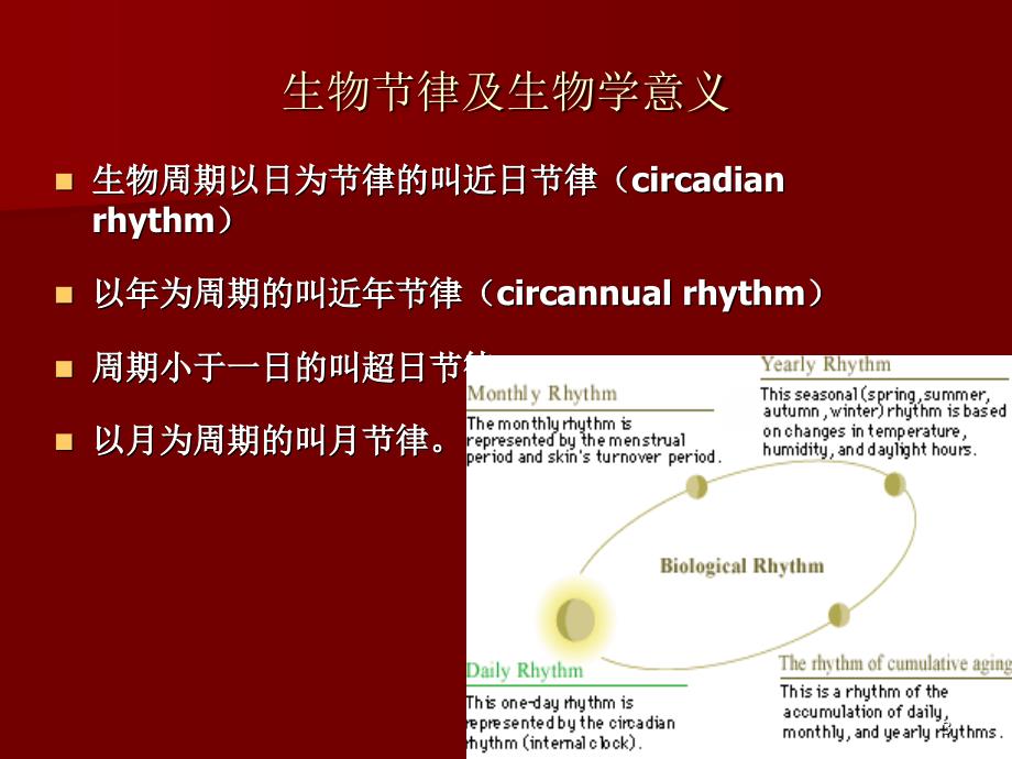 时间药理学与临床合理用药_第3页