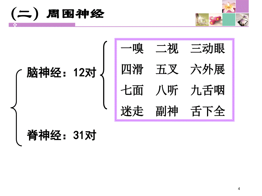 神经系统疾病常见症状体征_第4页