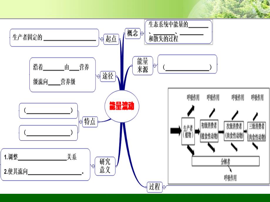 生态系统能量流动一轮复习1024修改_第3页