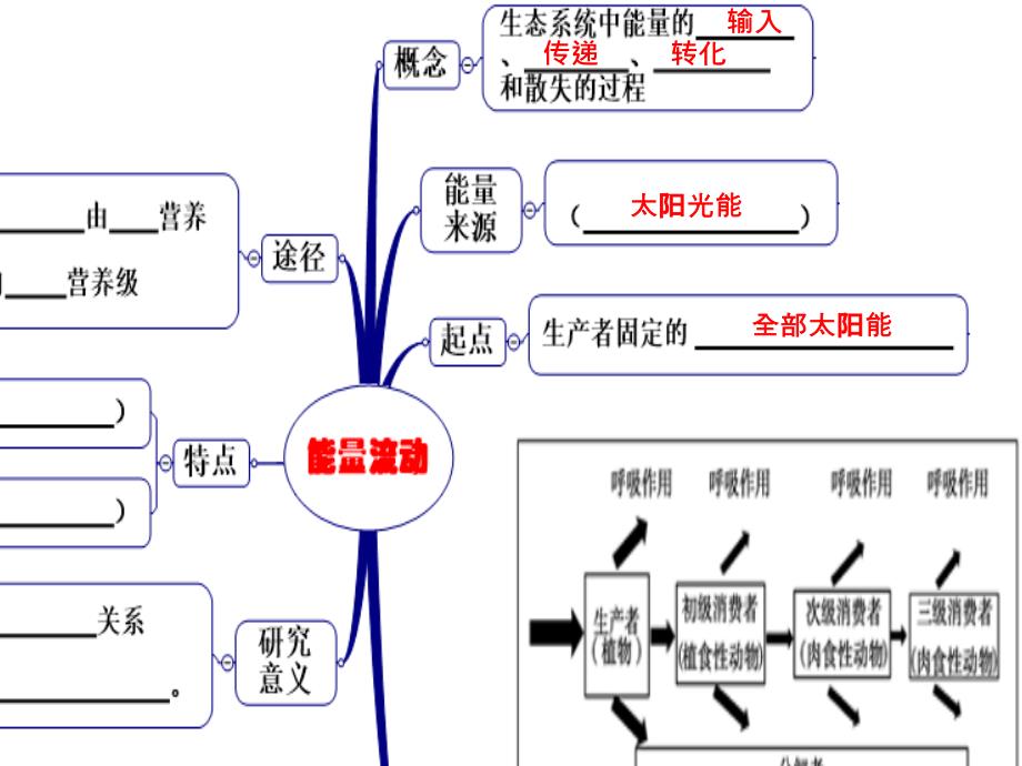 生态系统能量流动一轮复习1024修改_第4页