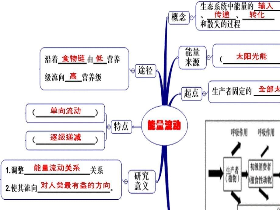 生态系统能量流动一轮复习1024修改_第5页