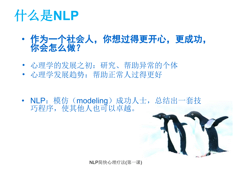 NLP简快心理疗法(第一课)课件_第3页