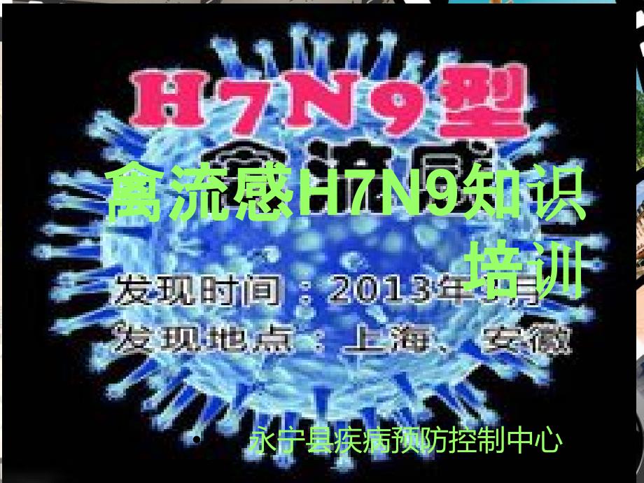 禽流感h7n9知识培训_第1页