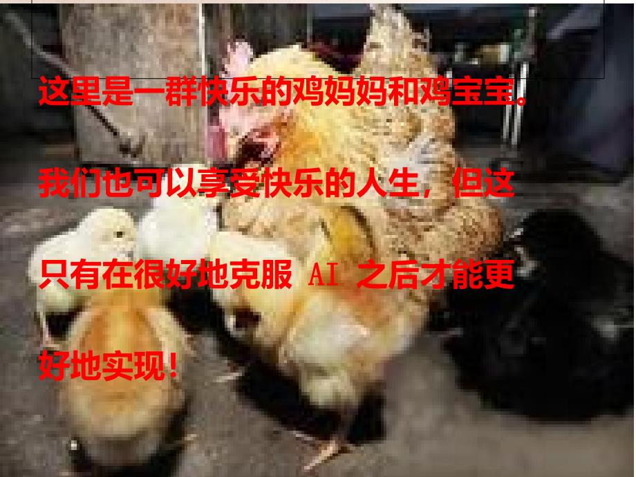 禽流感h7n9知识培训_第3页