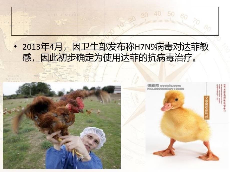 禽流感h7n9知识培训_第5页