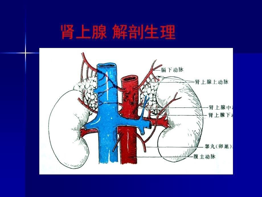 图文详解完整版-肾上腺疾病_第5页