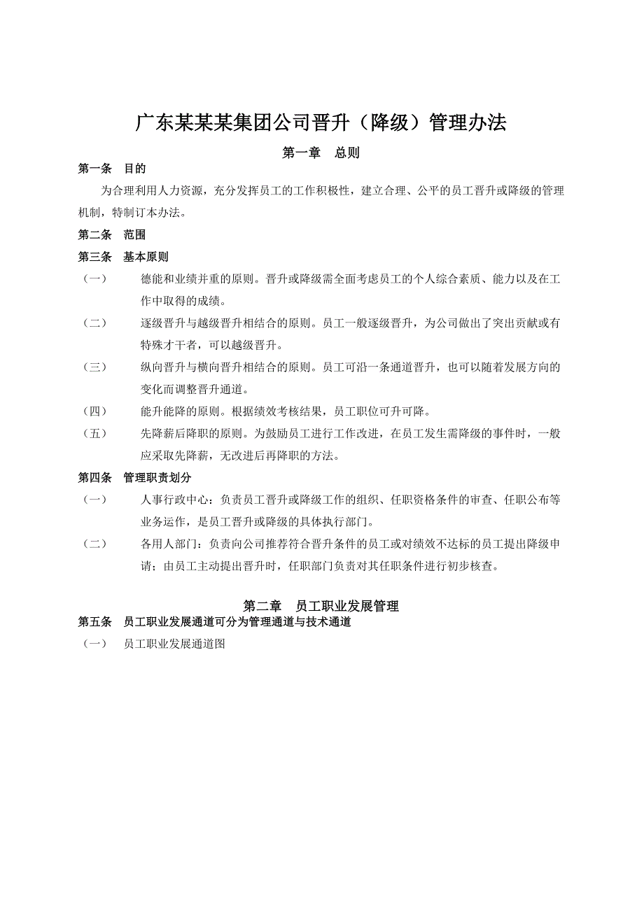 广东某某某集团公司晋升降级管理办法_第1页