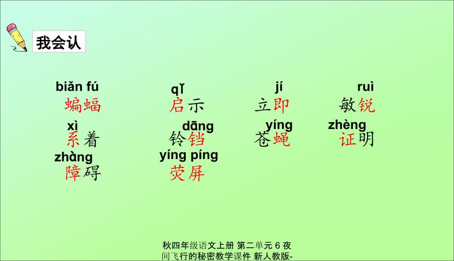 最新四年级语文上册第二单元6夜间飞行的秘密教学_第4页