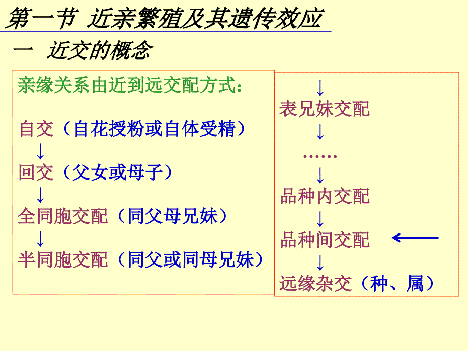 普通遗传学：第九章 近亲繁殖和杂种优势_第2页